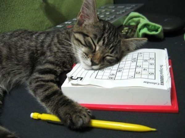 1302-tiring-sudoku