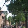 Inngangurinn i Auswitch (Arbeit macht frei)