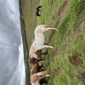 img 0590