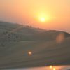 IMG 5052
