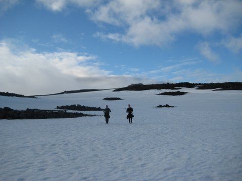 IMG 0853
