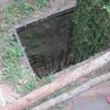 cu chi 022