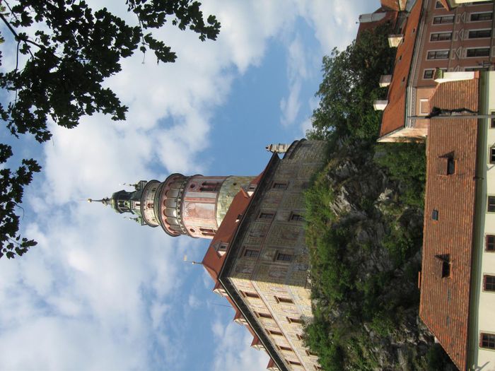 img 1288.jpg