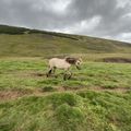 img 0635