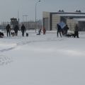 IMG 7484