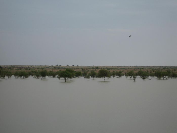 Agust 2006